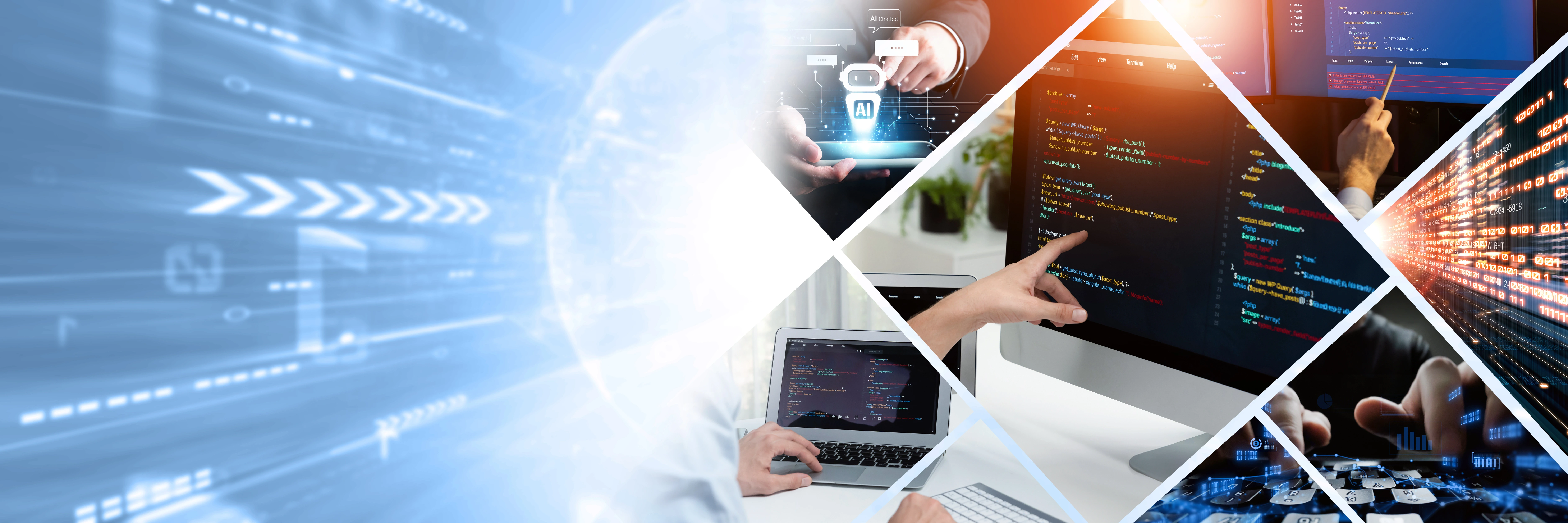 Website development & SEO